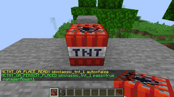09-manual-custom-tnt-before-restart.png