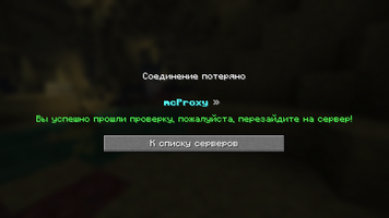 03-mcproxy-1.0.1-native.png