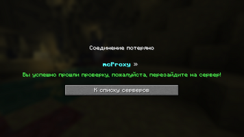 03-mcproxy102.png