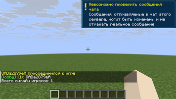 07-mcproxy102.png