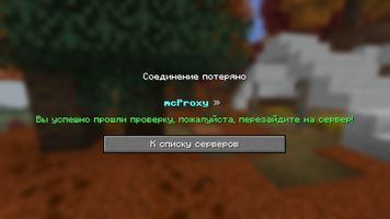 04-mcproxy110.png