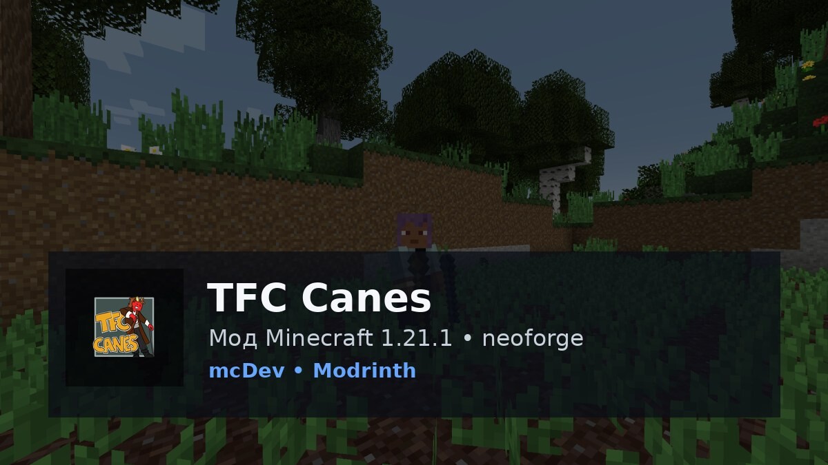 TFC Canes